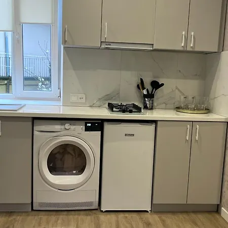 Luxury Flat Near Opera 3 * Lviv