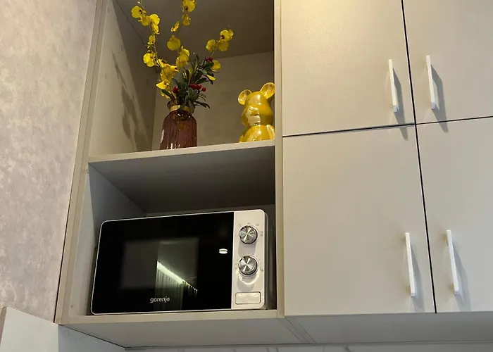 דירה Luxury Flat Near Opera 3 לבוב