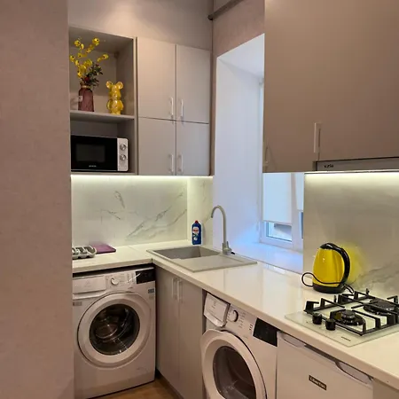 Luxury Flat Near Opera 3 公寓 利沃夫