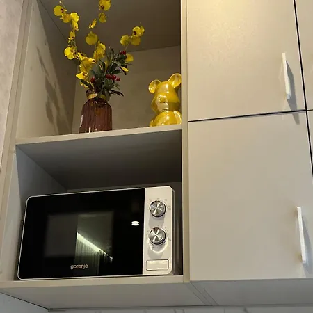 Апартаменты Luxury Flat Near Opera 3 Львов