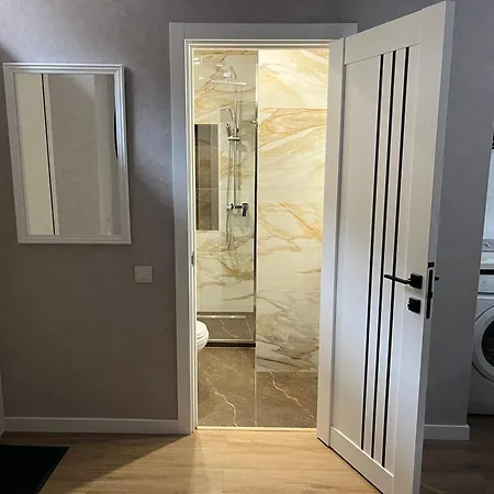 Luxury Flat Near Opera 3 * 利沃夫